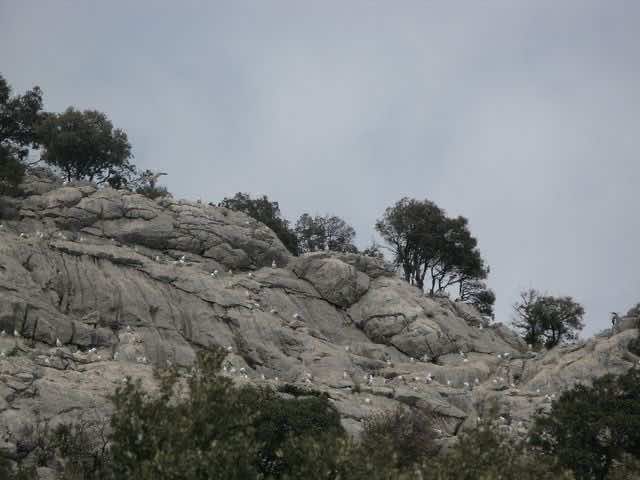 Pedra en Sec - GR-221 